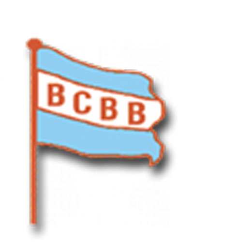 Brazoria County Bail Bonds Logo